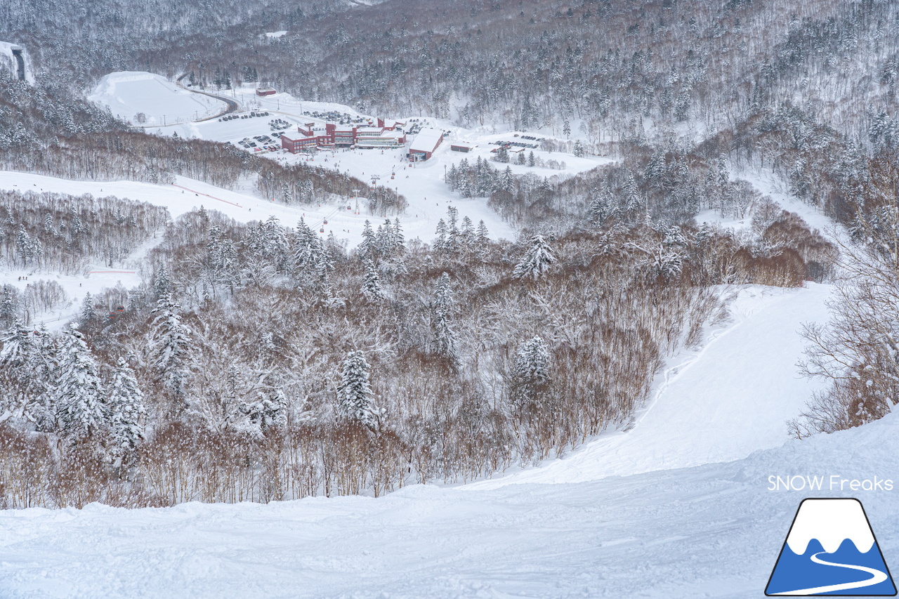 札幌国際スキー場｜３月の平日。粉雪コンディション、ゴンドラ＆リフト待ち無し、もちろん、ゲレンデも混雑無し。要するに、最高です(^_-)-☆